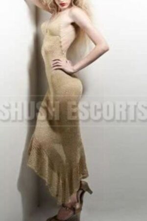 shapely Manchester escort in dinner dress