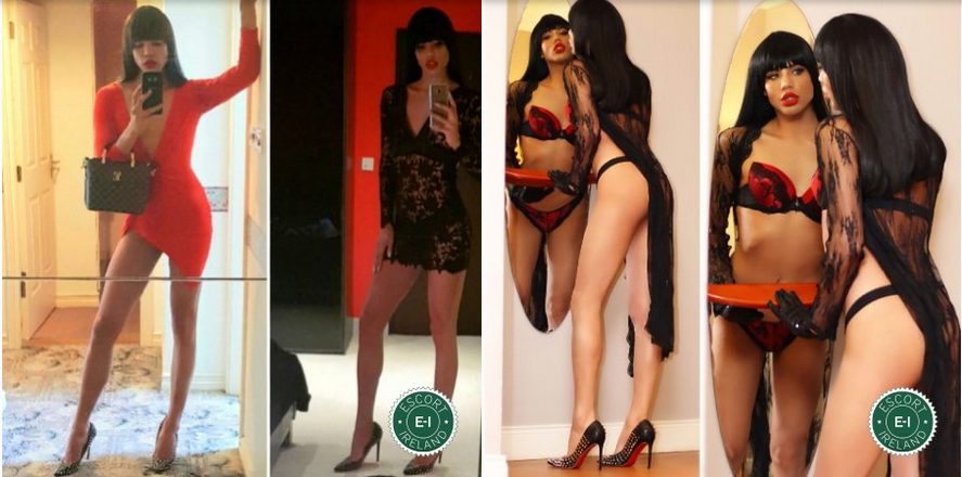TV and Shemale Escorts In Dublin
