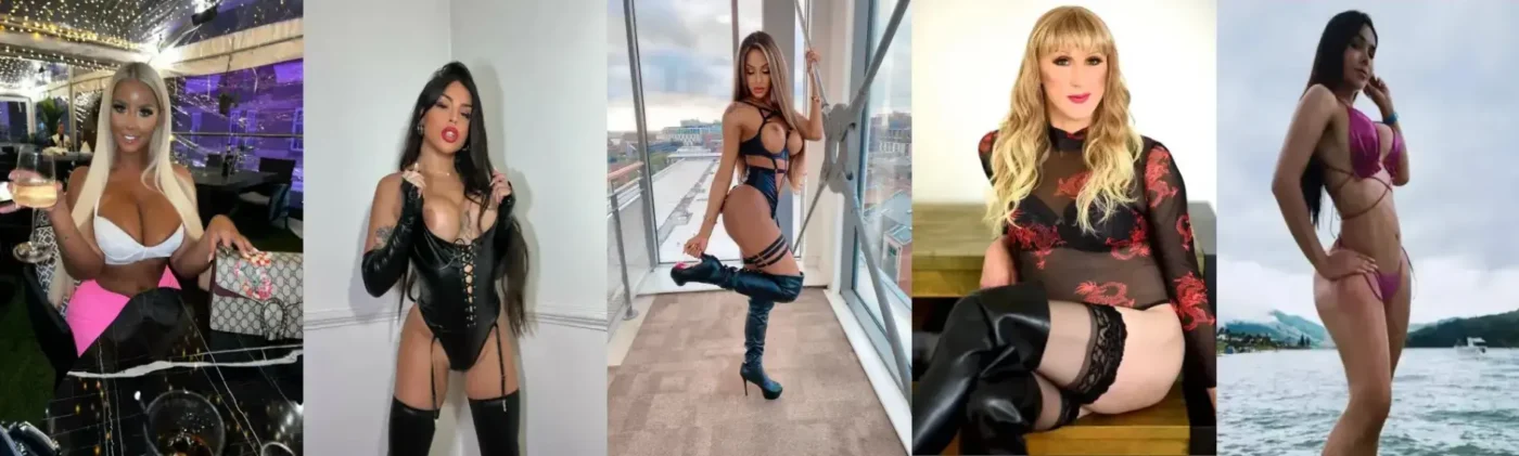 TS North West Escorts