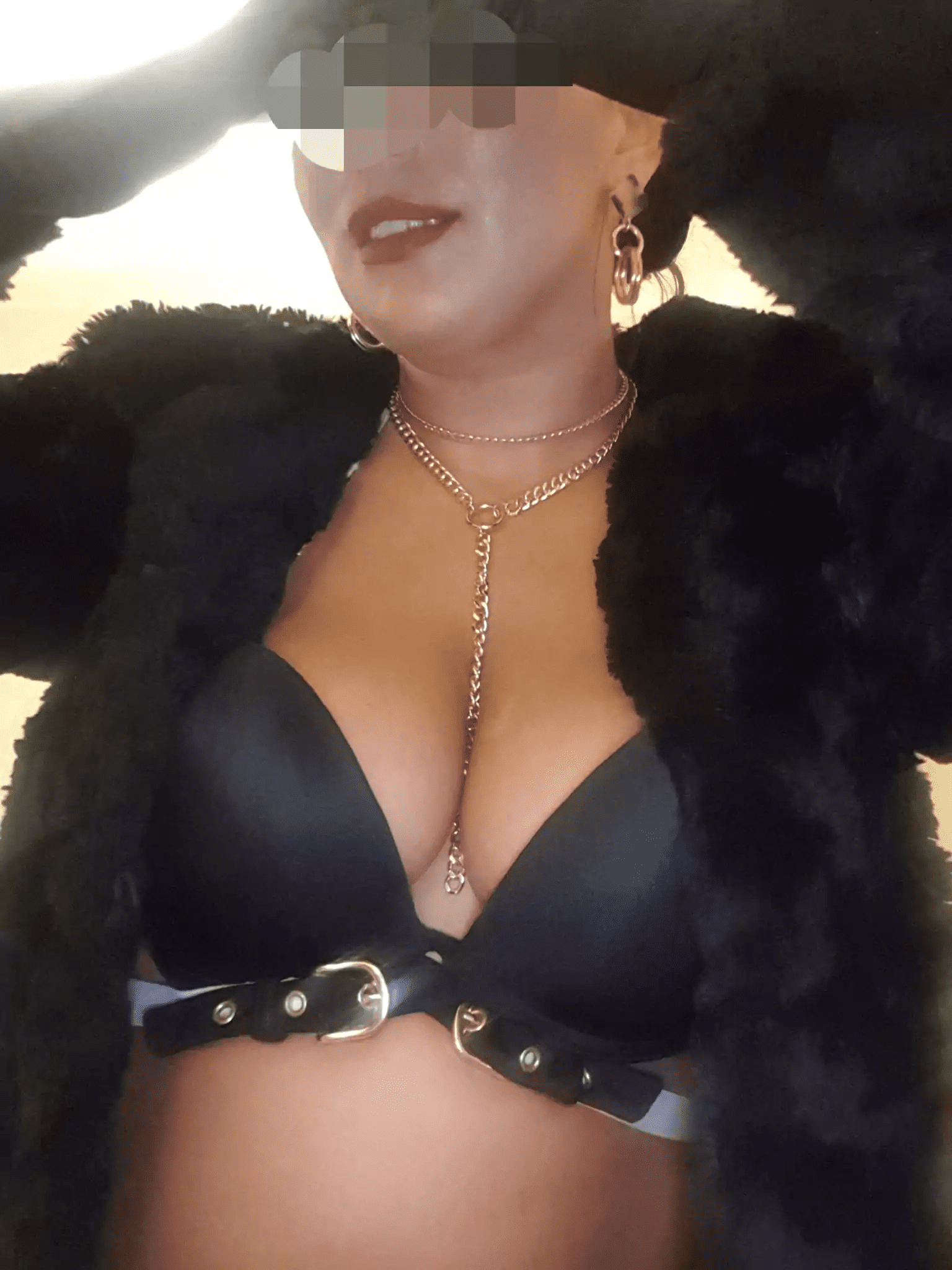 Busty Sheffield escort