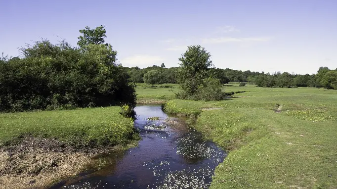 Green field and stream in Hampshire